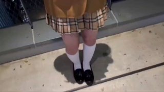 二零二三七月十一号_猫贪余温2
